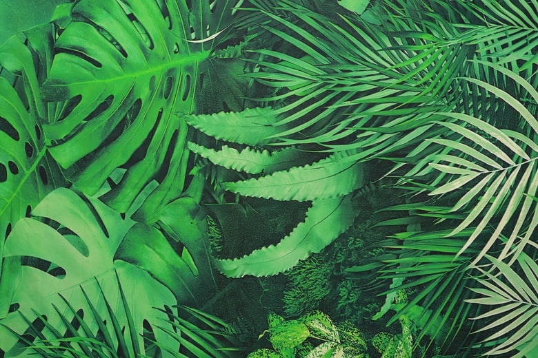 Fotografické pozadí do fotokoutku číslo 6